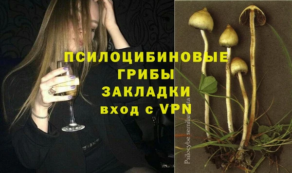 винт Арсеньев
