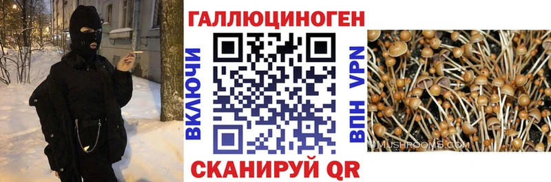 Купить закладки  Луза  Галлюциногенные грибы GOLDEN TEACHER 